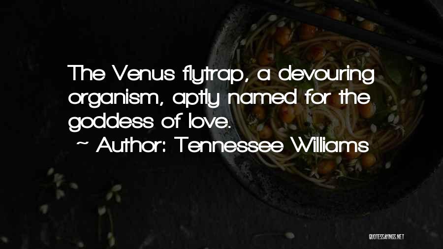 Tennessee Williams Love Quotes By Tennessee Williams