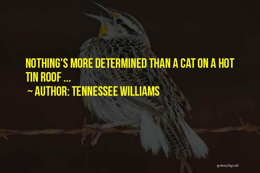 Tennessee Williams Quotes 1173492