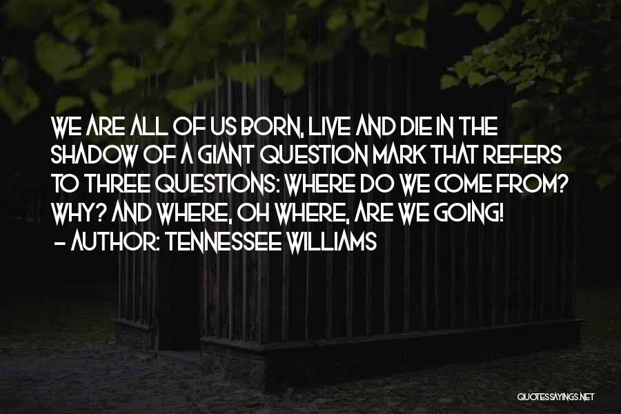 Tennessee Williams Quotes 351781