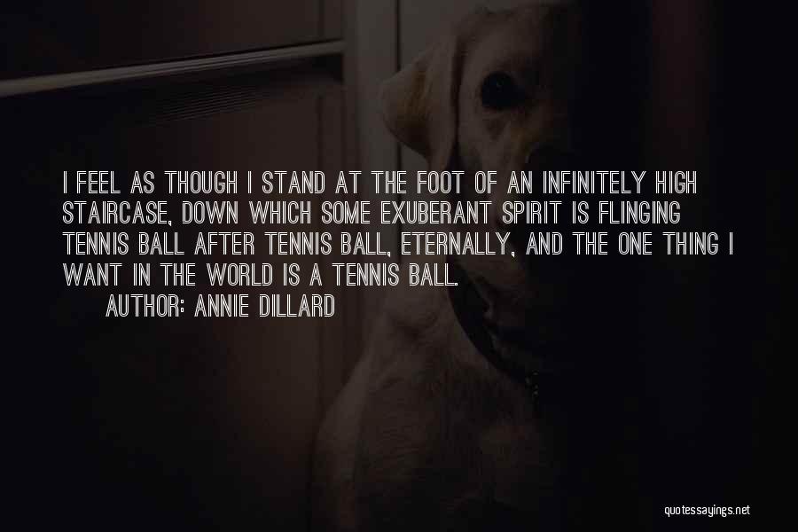 Tennis Balls Quotes By Annie Dillard