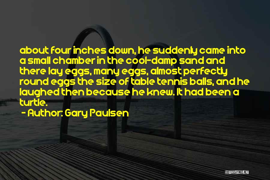 Tennis Balls Quotes By Gary Paulsen