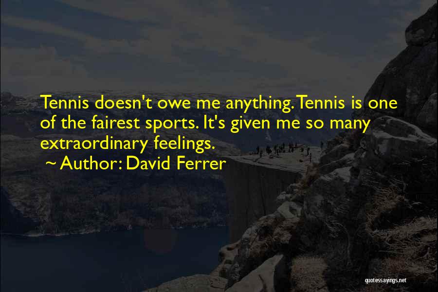 Tennis Quotes By David Ferrer