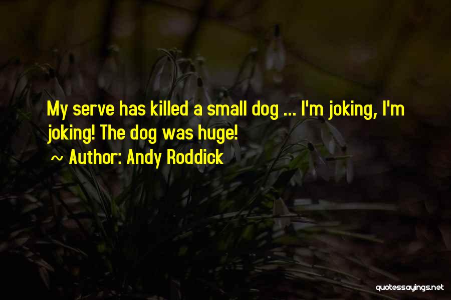 Tennis Serve Quotes By Andy Roddick