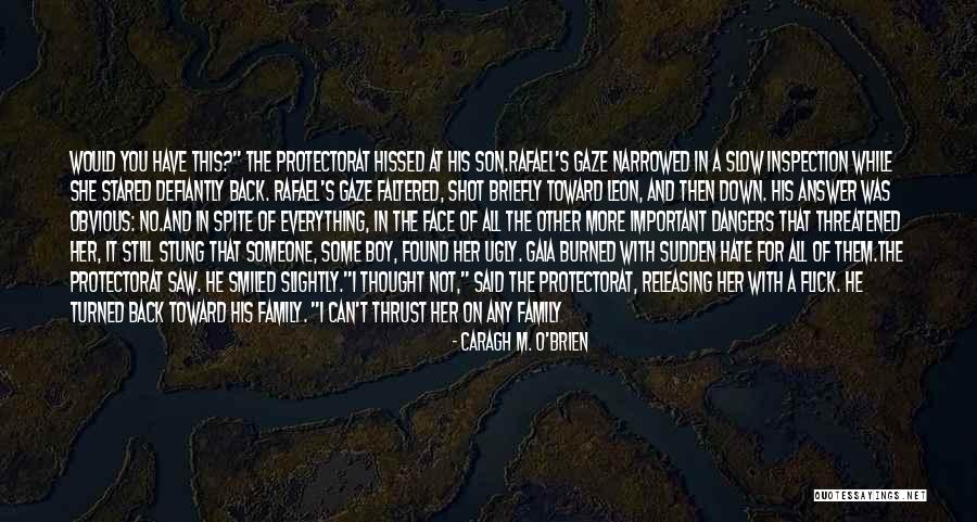 Tensely Quotes By Caragh M. O'Brien Tensely Quotes By Caragh M. O'Brien