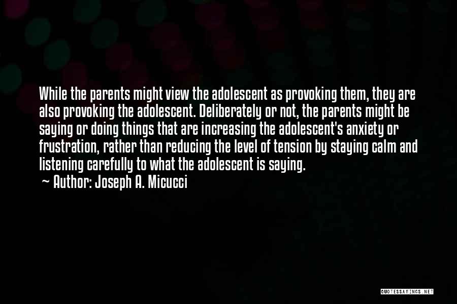 Tension Reducing Quotes By Joseph A. Micucci