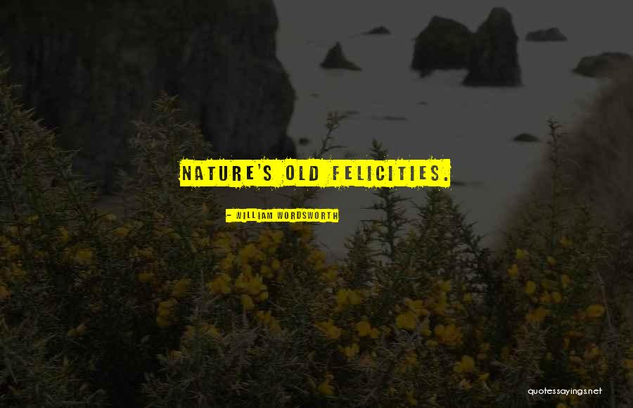 Tentai Senshi Quotes By William Wordsworth