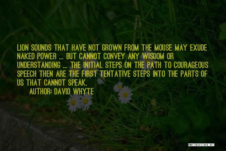 Tentative Quotes By David Whyte