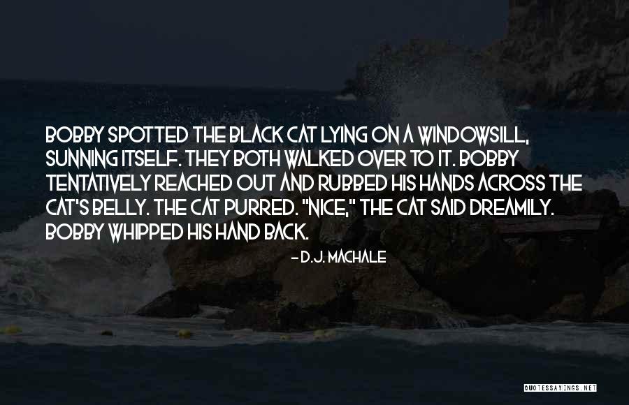 Tentatively Quotes By D.J. MacHale Tentatively Quotes By D.J. MacHale