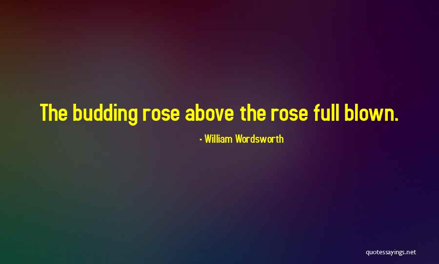 Tentatives English Quotes By William Wordsworth Tentatives English Quotes By William Wordsworth