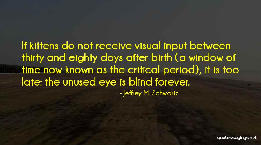 Tenuousness Define Quotes By Jeffrey M. Schwartz Tenuousness Define Quotes By Jeffrey M. Schwartz