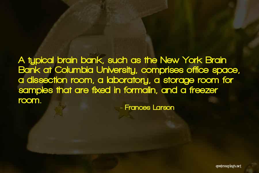 Tenuousness Lyrics Quotes By Frances Larson Tenuousness Lyrics Quotes By Frances Larson