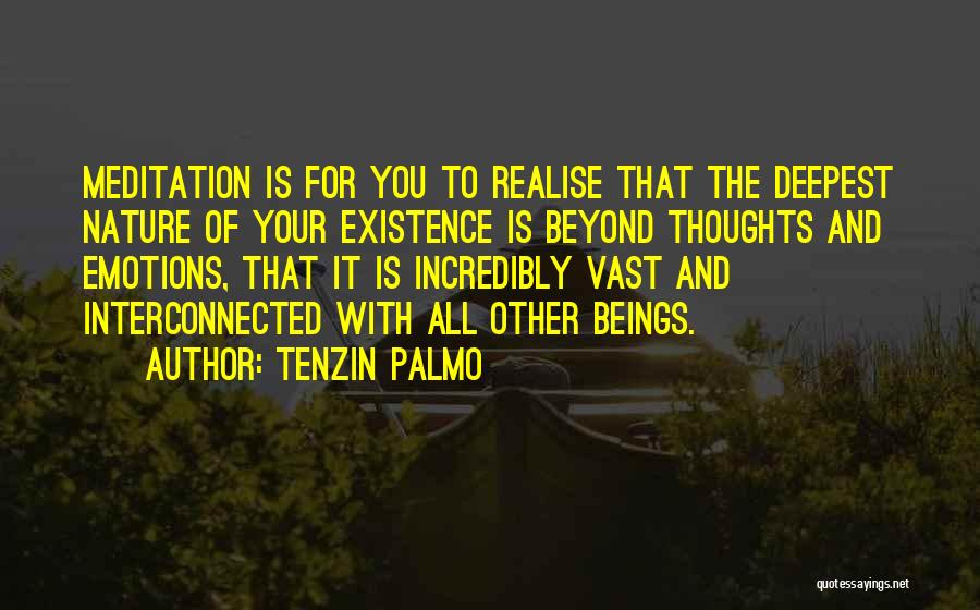 Tenzin Palmo Quotes 1534076