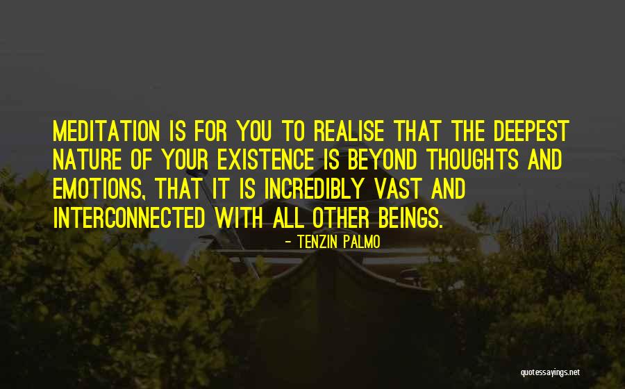 Tenzin Palmo Quotes 1534076