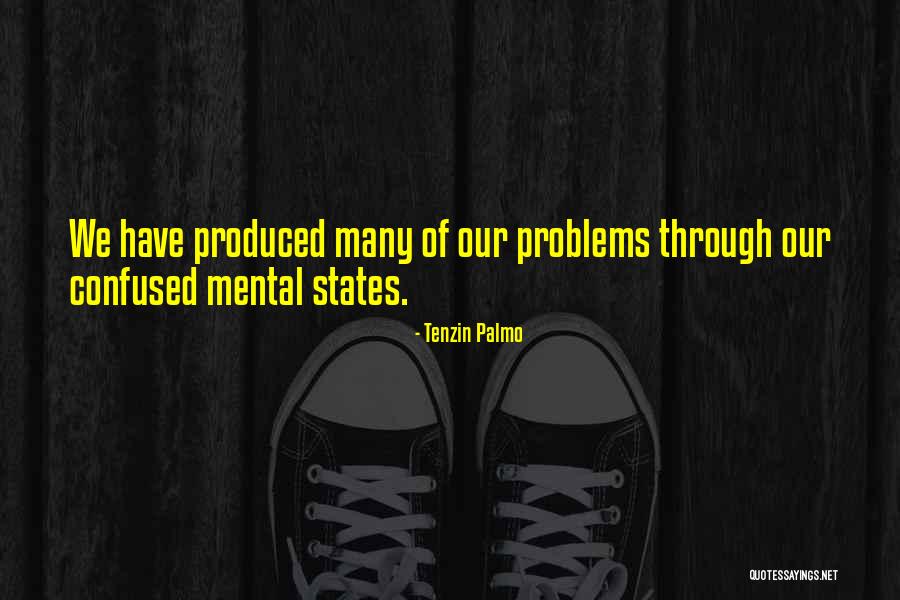 Tenzin Palmo Quotes 618114 Tenzin Palmo Quotes 618114