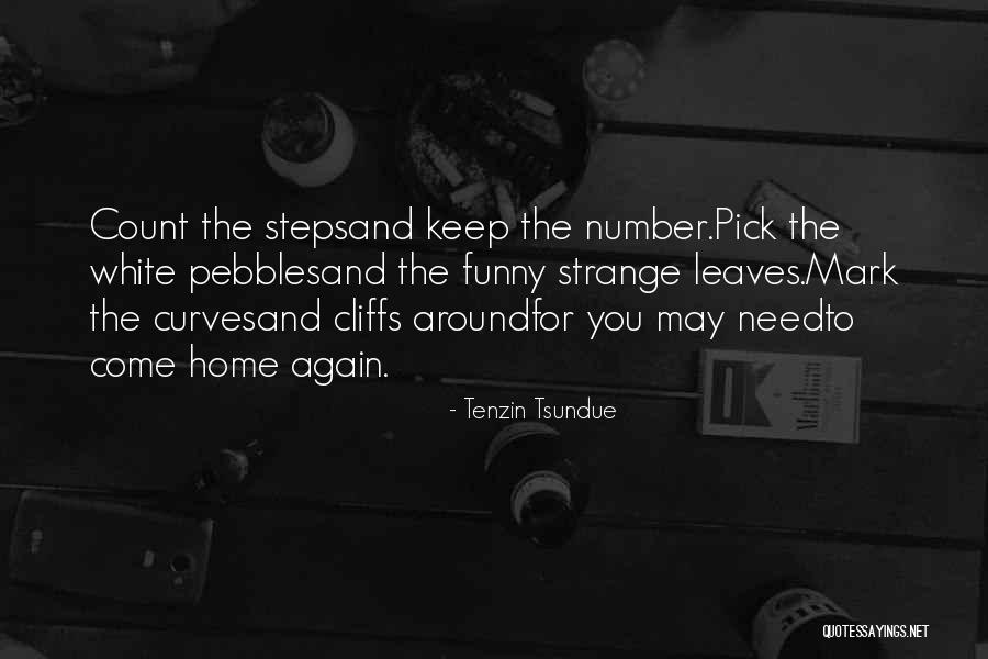 Tenzin Tsundue Quotes 760484