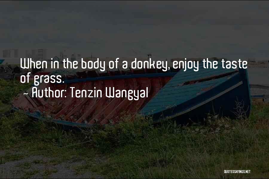 Tenzin Wangyal Quotes 1274259