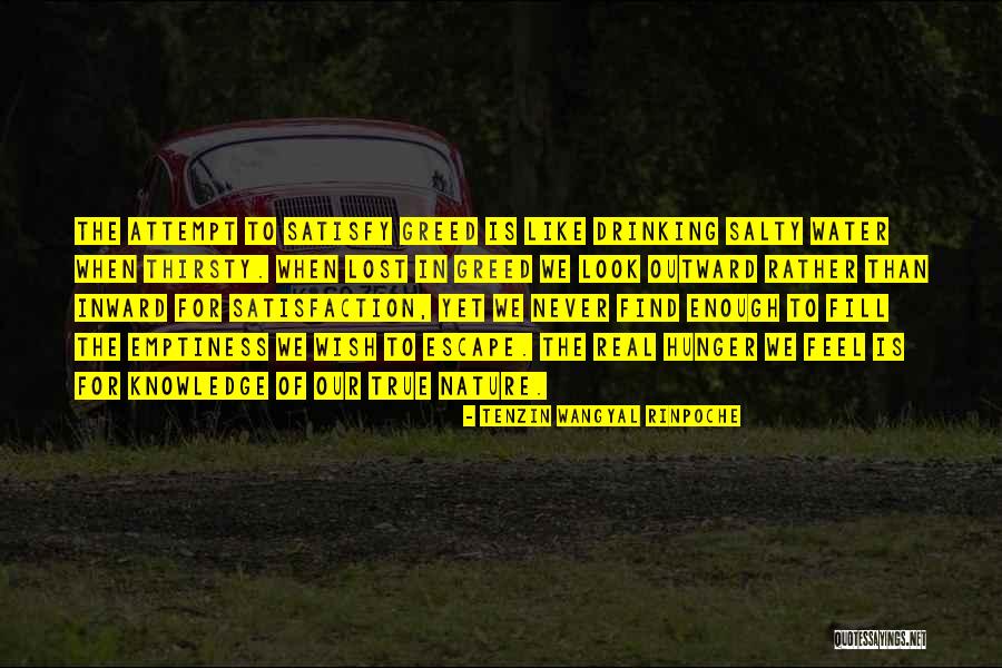 Tenzin Wangyal Rinpoche Quotes 1117985 Tenzin Wangyal Rinpoche Quotes 1117985