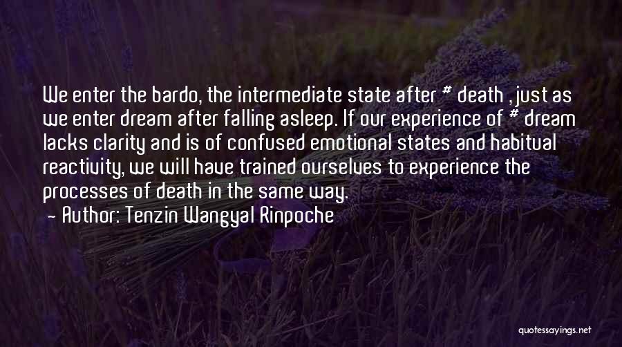 Tenzin Wangyal Rinpoche Quotes 1129798