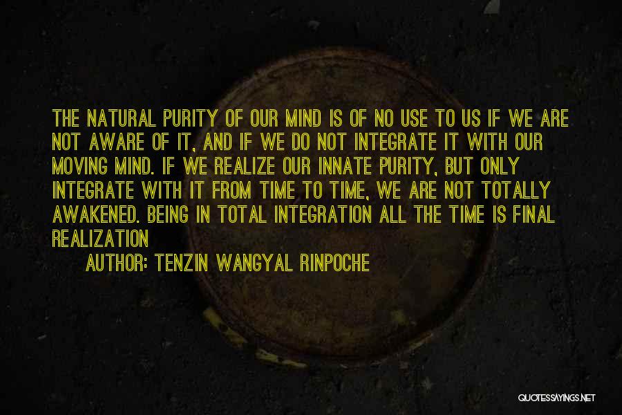 Tenzin Wangyal Rinpoche Quotes 1634157