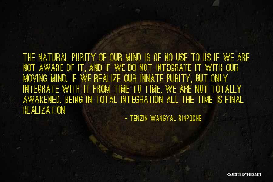 Tenzin Wangyal Rinpoche Quotes 1634157