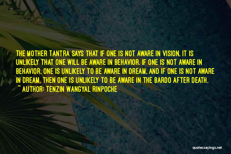 Tenzin Wangyal Rinpoche Quotes 1887465