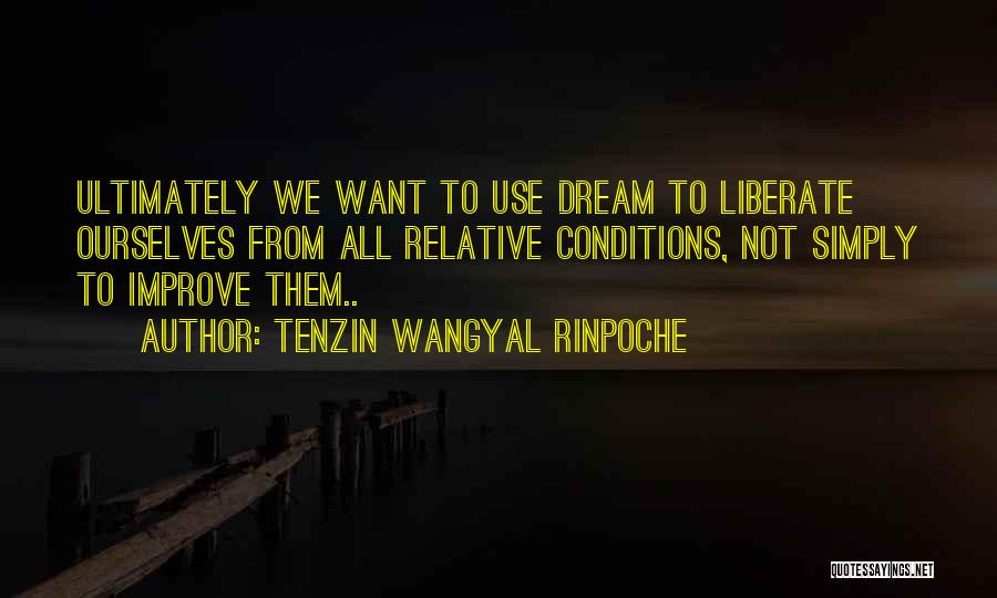 Tenzin Wangyal Rinpoche Quotes 353855