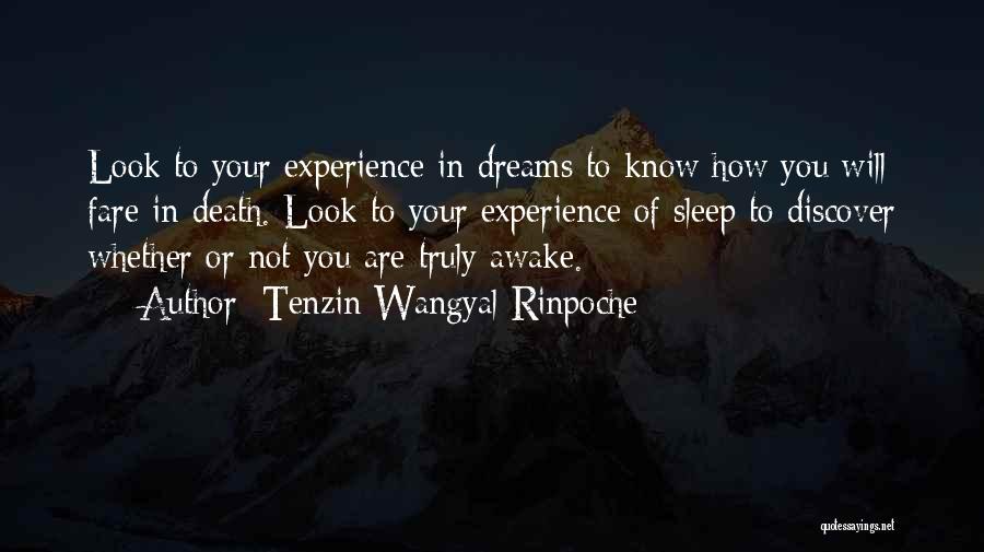 Tenzin Wangyal Rinpoche Quotes 701932