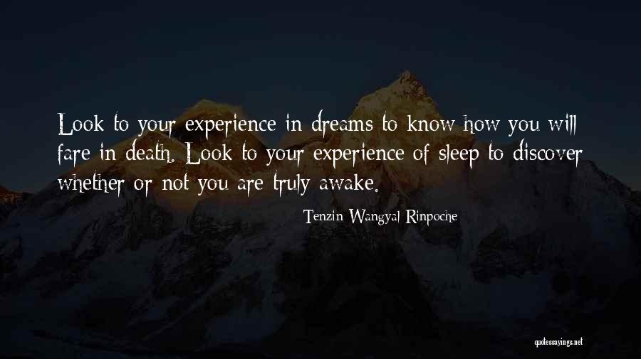 Tenzin Wangyal Rinpoche Quotes 701932