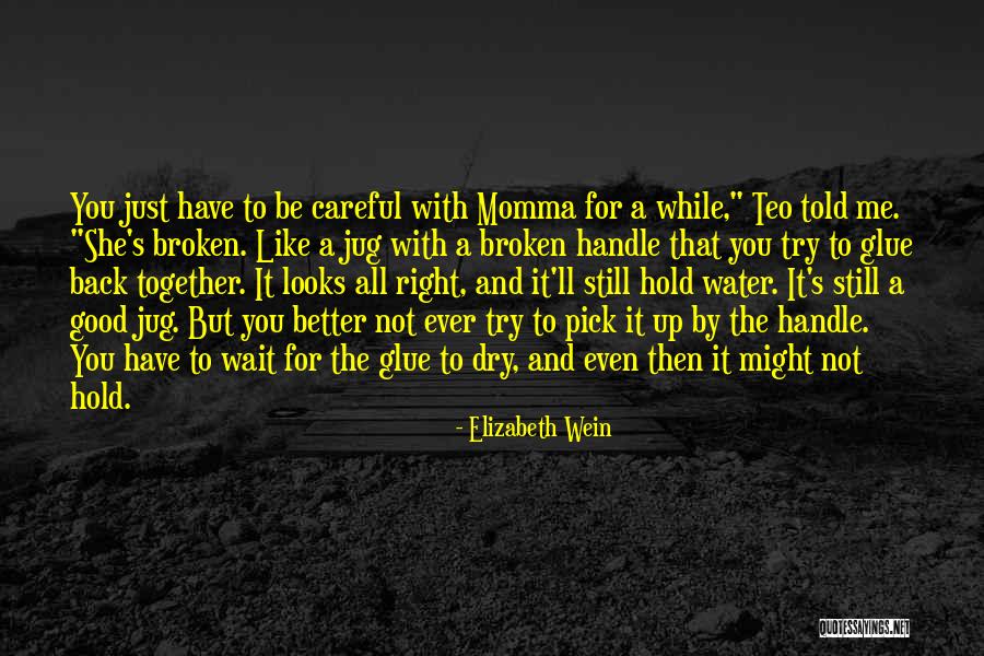 Teo Quotes By Elizabeth Wein Teo Quotes By Elizabeth Wein