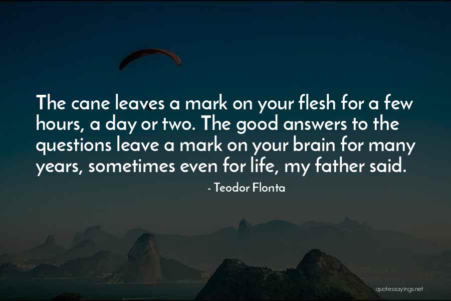 Teodor Flonta Quotes 1553360