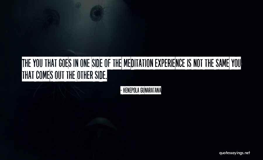 Teodorescu Andreea Quotes By Henepola Gunaratana Teodorescu Andreea Quotes By Henepola Gunaratana