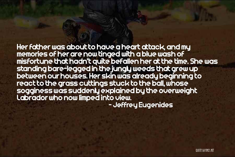 Teofilo Garcia Quotes By Jeffrey Eugenides Teofilo Garcia Quotes By Jeffrey Eugenides