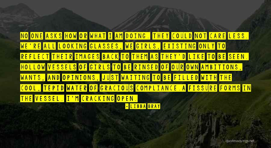 Tepid Quotes By Libba Bray Tepid Quotes By Libba Bray