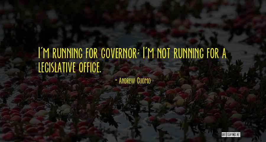 Tepidly Def Quotes By Andrew Cuomo Tepidly Def Quotes By Andrew Cuomo