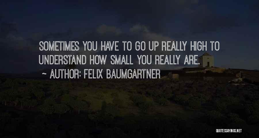 Teppers Department Quotes By Felix Baumgartner