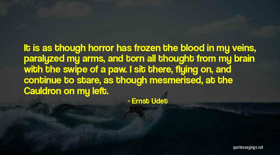 Tera Mera Saath Quotes By Ernst Udet Tera Mera Saath Quotes By Ernst Udet
