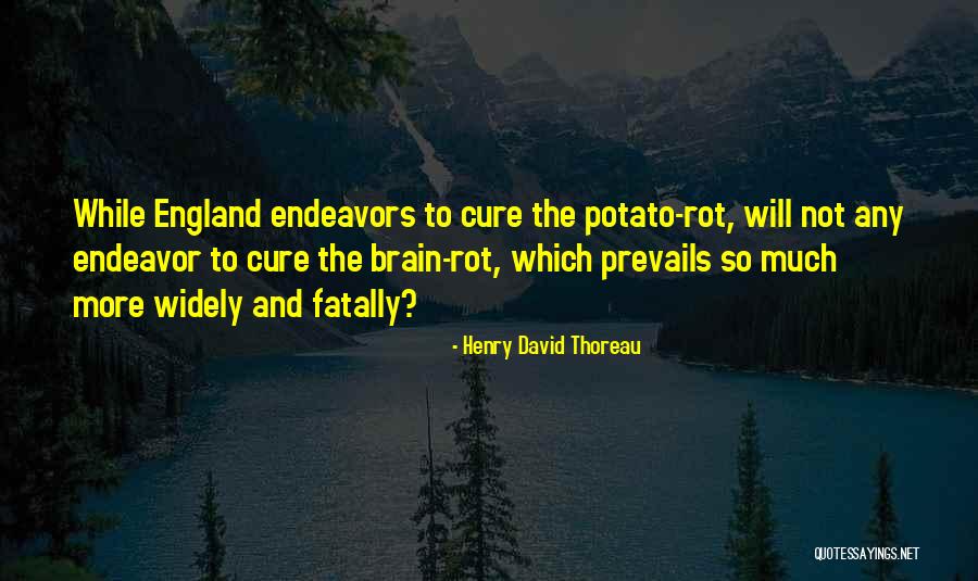 Terapeutico In Inglese Quotes By Henry David Thoreau Terapeutico In Inglese Quotes By Henry David Thoreau