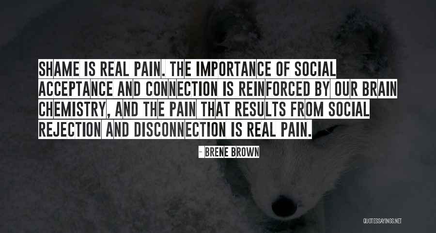 Terdiam Quotes By Brene Brown Terdiam Quotes By Brene Brown