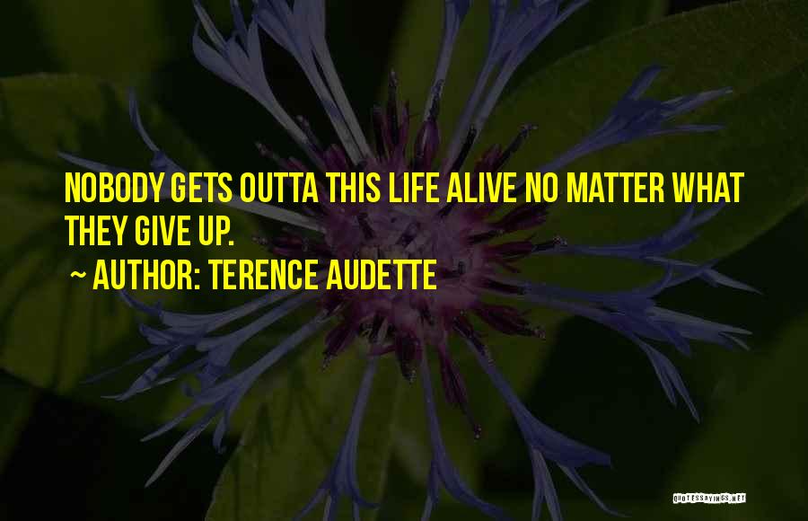 Terence Audette Quotes 1252563