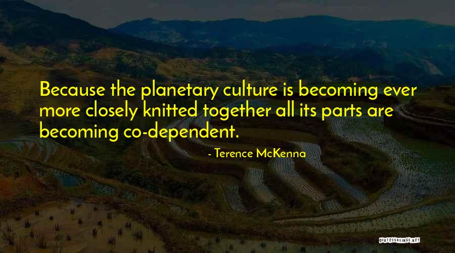 Terence Mckenna Just Because Quotes By Terence McKenna Terence Mckenna Just Because Quotes By Terence McKenna