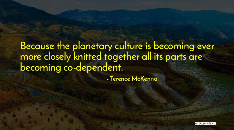 Terence Mckenna Just Because Quotes By Terence McKenna