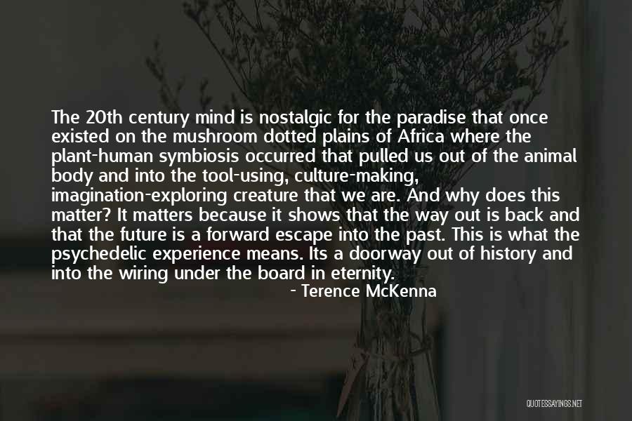 Terence Mckenna Mushroom Quotes By Terence McKenna