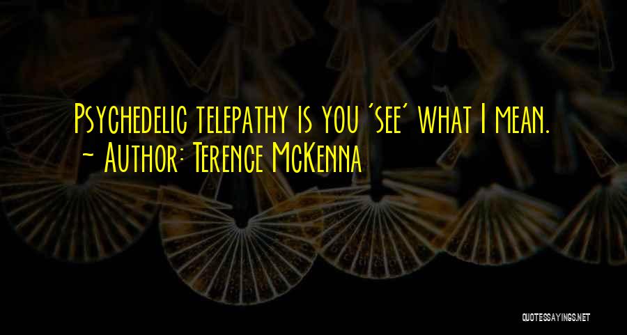 Terence McKenna Quotes 1339446