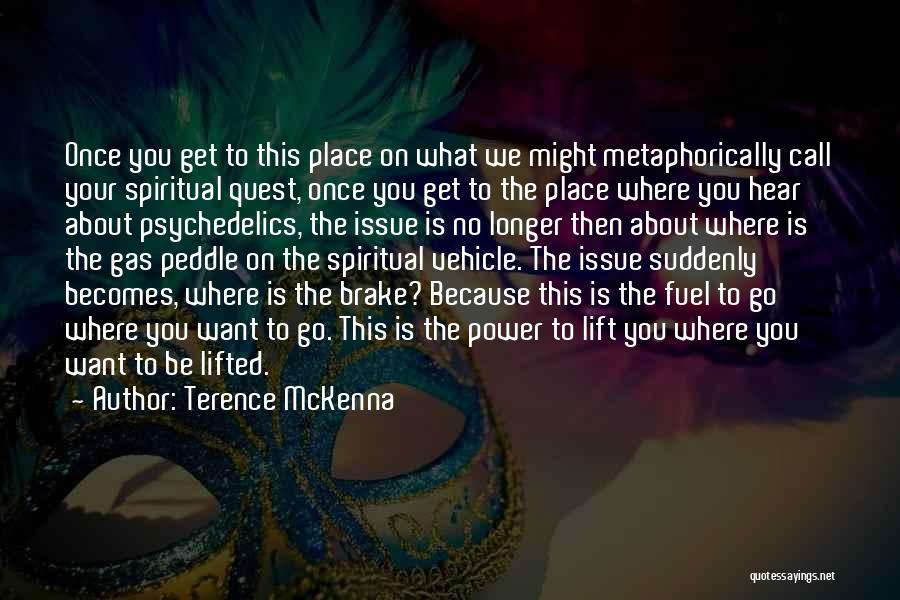 Terence McKenna Quotes 1436215