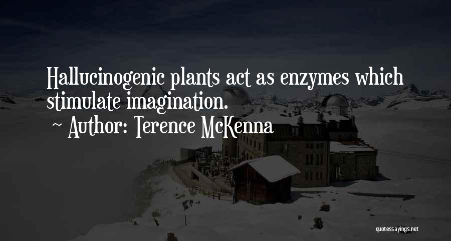 Terence McKenna Quotes 2011235