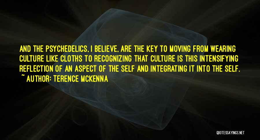 Terence McKenna Quotes 2243916