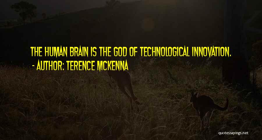 Terence McKenna Quotes 257208