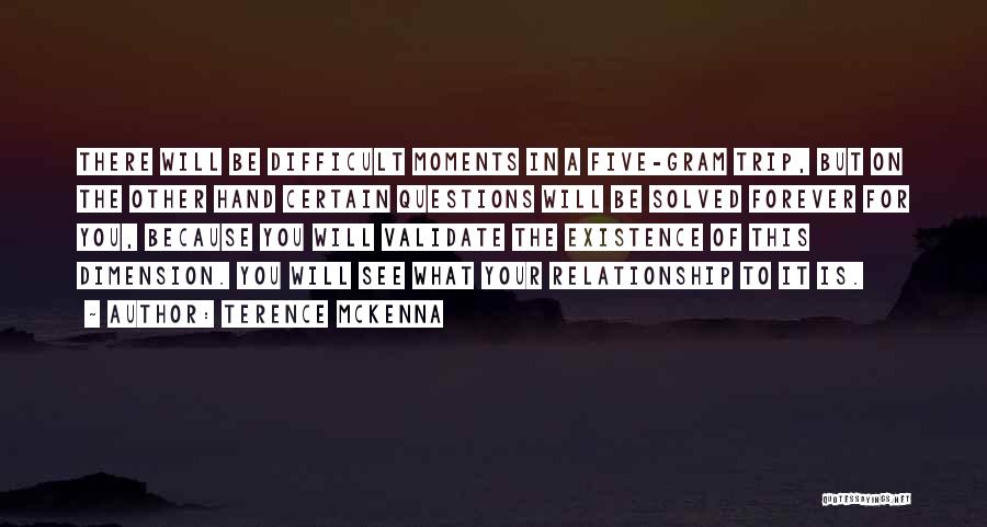 Terence McKenna Quotes 377439