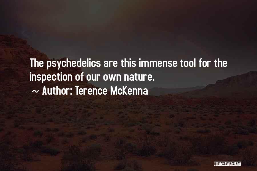 Terence McKenna Quotes 588785