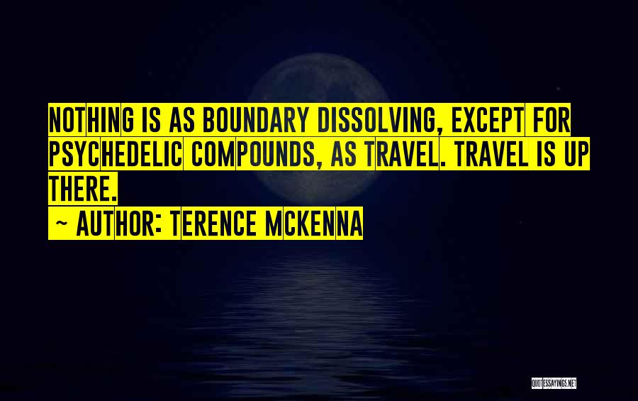 Terence McKenna Quotes 77490